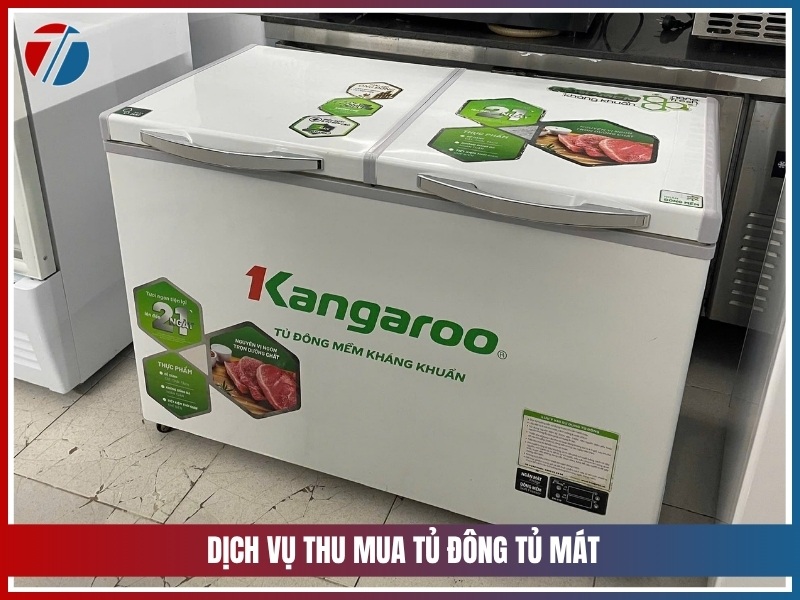 Ly do dich vu thu mua tu dong tu mat duoc quan tam nhieu