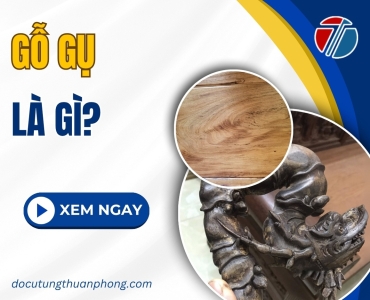 Gỗ Gụ Là Gì? Lý Do Nên Chọn Sản Phẩm Làm Từ Gỗ Gụ