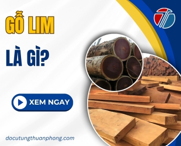 Gỗ Lim Là Gì? Loại Nào Tốt Nhất